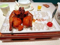 -大鸽饭(岗顶店)