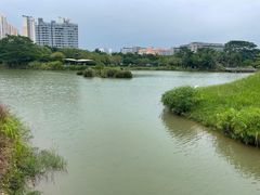 -福田红树林生态公园
