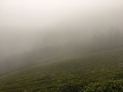 -敬亭山风景名胜区