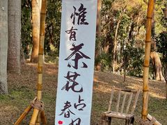 -深圳国际园林花卉博览园