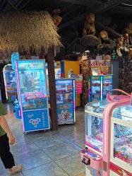 -卡通尼·Safari非洲探索乐园·生日会(金桥国际商业广场店)