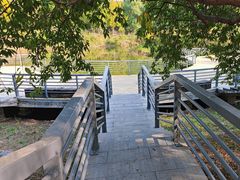 -大兴滨河森林公园