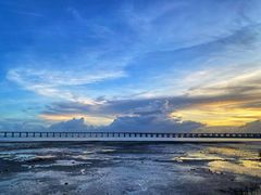 -宝安西湾红树林湿地公园