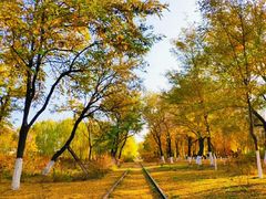 -永定河休闲森林公园