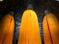 -白水寺森林公园