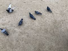 -海云台海滩