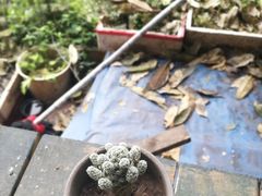 -懒鱼时光馆(沙坪坝店)