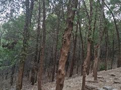 -青州市云门山风景区