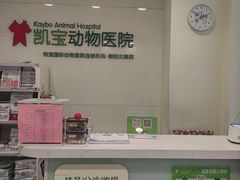 -悦宠凯宝动物医院·牙科·皮肤科(朝阳北路店)