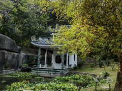 -深圳国际园林花卉博览园