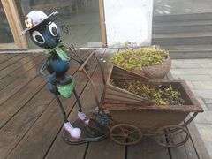 -田园东方蜜桃村的田野营地