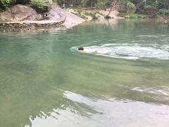 -余姚四明湖开元名都度假酒店·夏威夷西餐厅