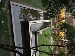 清迈菩提塞雷纳酒店‎-清迈菩提塞雷纳