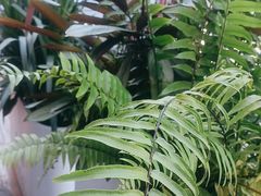 -四川饭店(长白店)