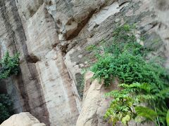 -武夷山风景名胜区-虎啸岩