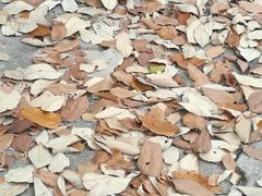 -广州市紫泥堂文化创意园景区