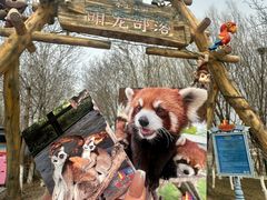 -水上乐园·欢乐世界