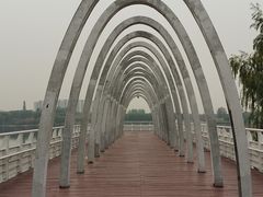 -大兴滨河森林公园