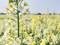 -中国天府农业博览园