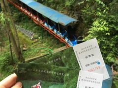 -藏龙百瀑风景区