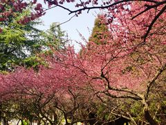 -白塘生态植物园