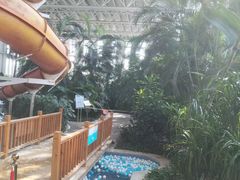 -中家鑫园温泉酒店鑫悦汤泉