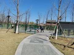 -西海子公园
