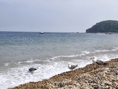-棒棰岛宾馆景区