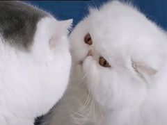 -广州保龄球馆(广州天河体育中心店)