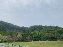 -火炉山森林公园