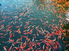 -长春市南湖公园