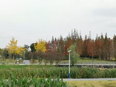 -两河城市森林公园