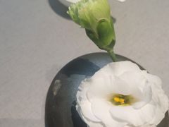 -徐记海鲜(南油永新汇店)