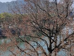 -蒋氏故居