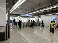 -东方体育中心(地铁站)