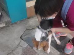 -瑞派宠物医院(锦江店)