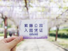 -嘉定紫藤园