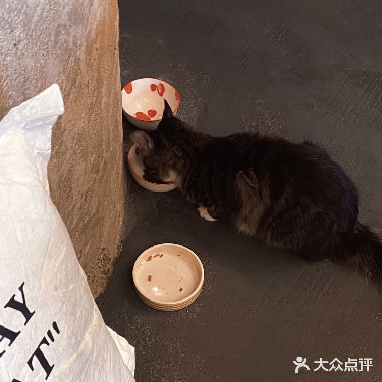 走成华大道，去喝一杯好喝又便宜的社区咖啡