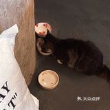 走成华大道，去喝一杯好喝又便宜的社区咖啡