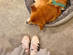 -三目仓咖啡(贤南路店)