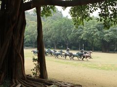 -广州雕塑公园