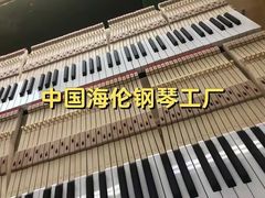 -秦川乐器(河西店)