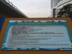-演武大桥观景平台