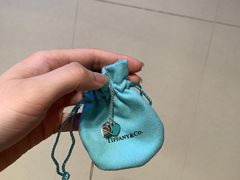 -Tiffany & Co.蒂芙尼
(南京德基广场店)