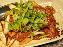 -燚店·铁板鱼蛙·烤肉·烤串(北新桥店)