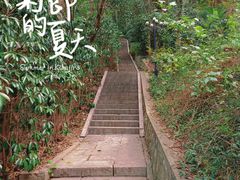 -阅江楼风景区