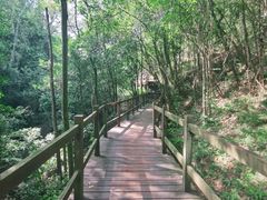 -广州白江湖森林公园