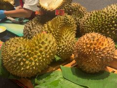 -味餐厅·海鲜·火锅·自助餐