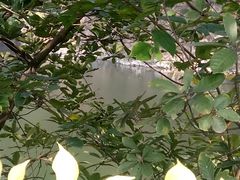 -王借岗森林公园