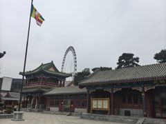 -天津大悲禅院